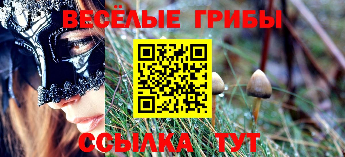 Псилоцибиновые грибы Cubensis Северск
