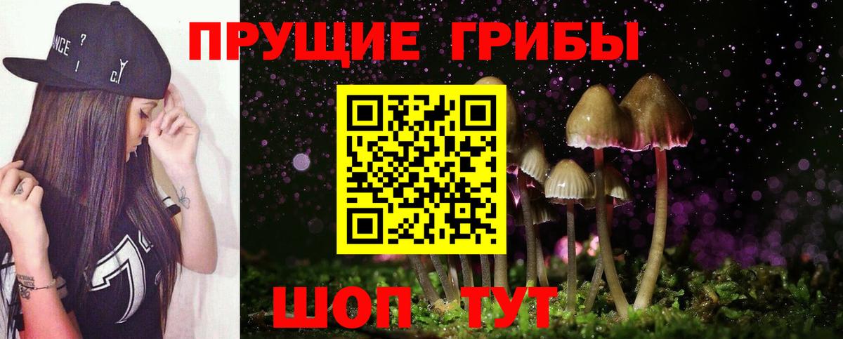 Северск  Псилоцибиновые грибы Psilocybine cubensis  Вход с VPN 